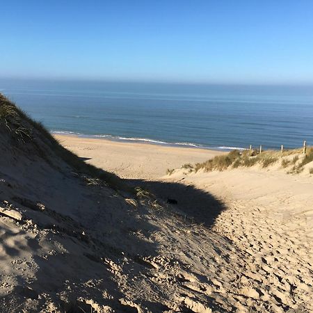 Eco Lodge Duin- Unieke Locatie -Strand, Duin En Nabij Cultuursteden Castricum Exteriör bild