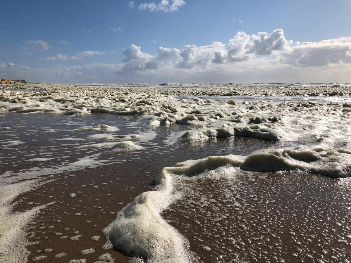 Eco Lodge Duin- Unieke Locatie -Strand, Duin En Nabij Cultuursteden Castricum Exteriör bild