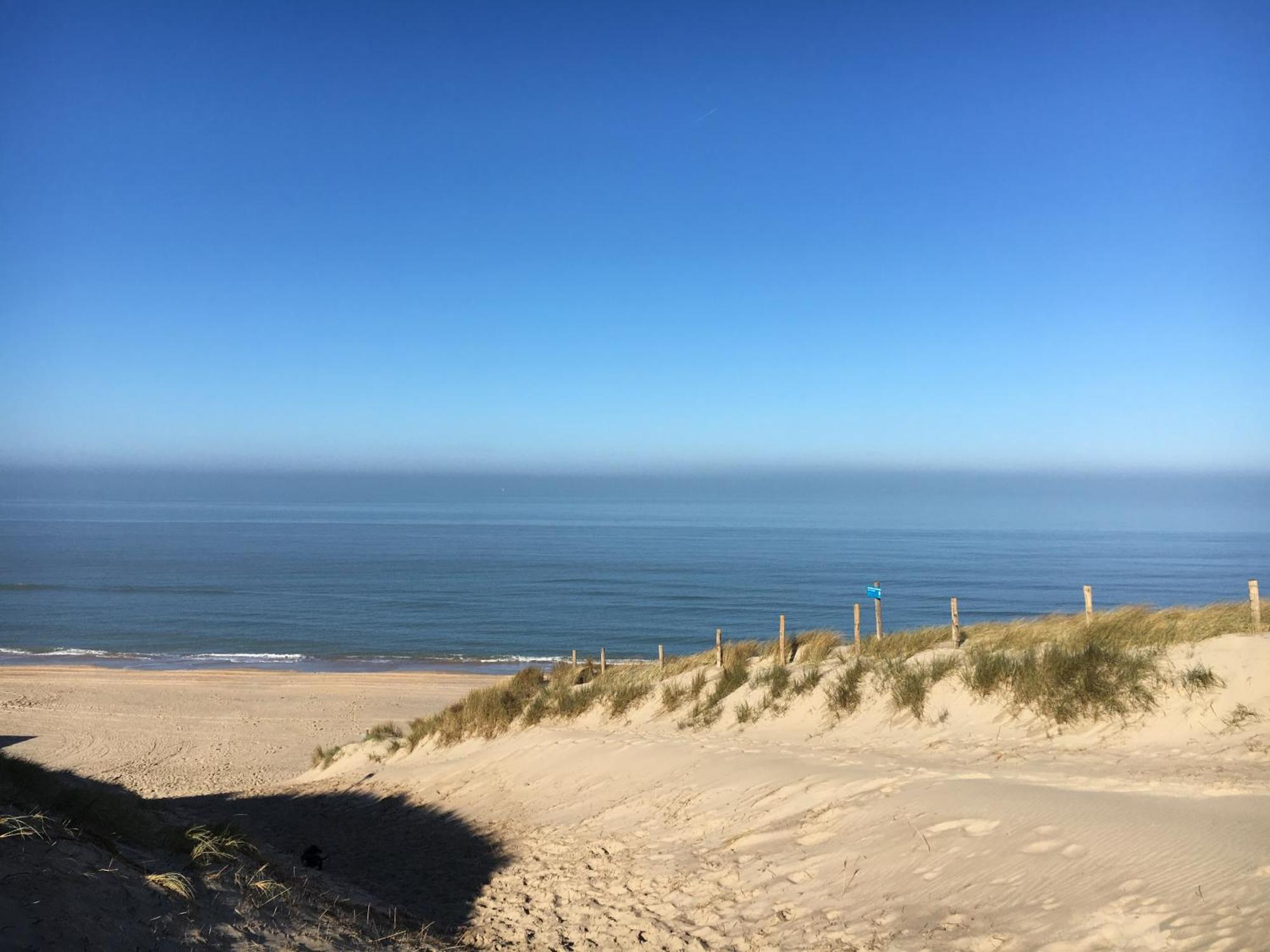Eco Lodge Duin- Unieke Locatie -Strand, Duin En Nabij Cultuursteden Castricum Exteriör bild