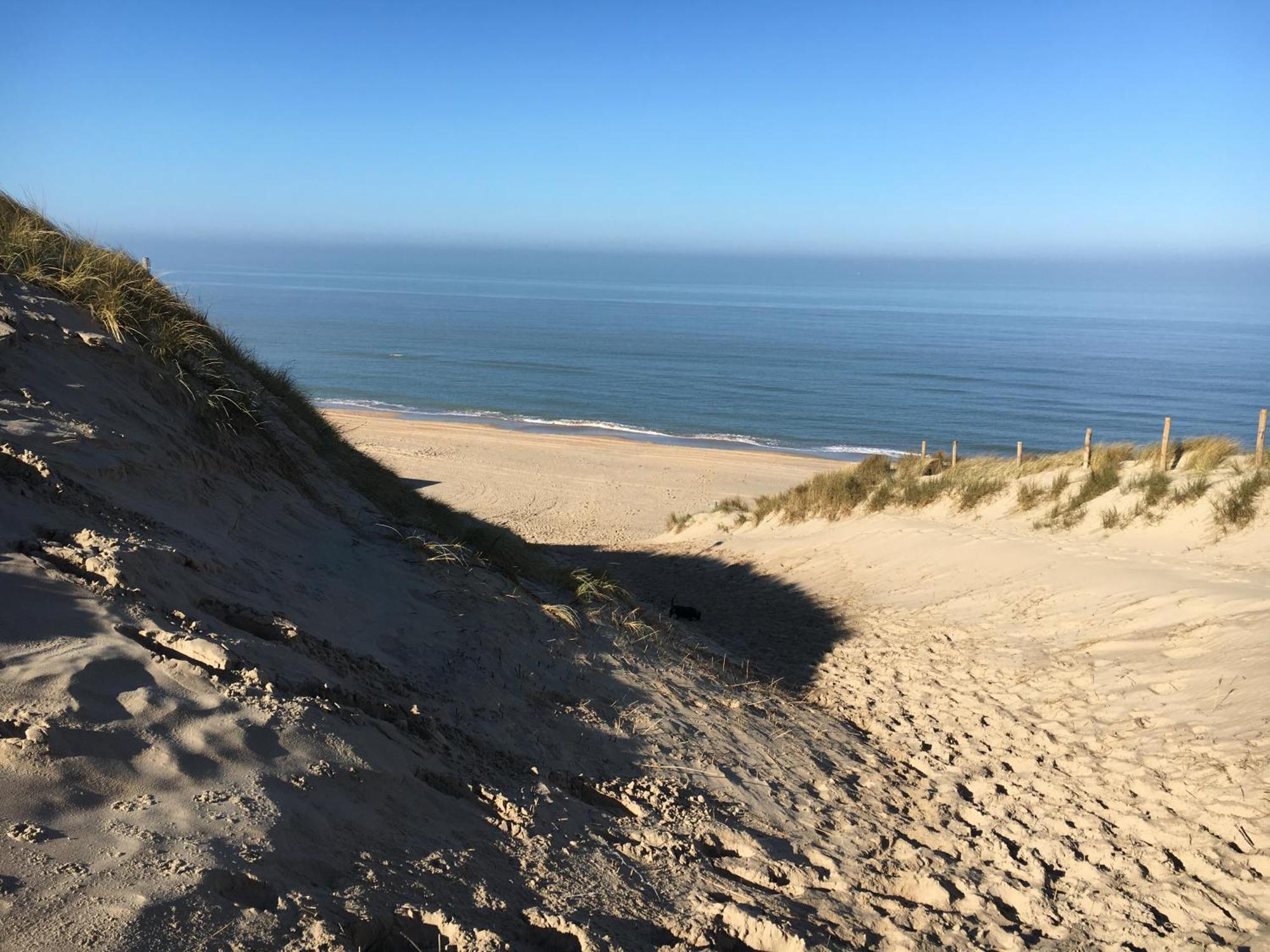 Eco Lodge Duin- Unieke Locatie -Strand, Duin En Nabij Cultuursteden Castricum Exteriör bild