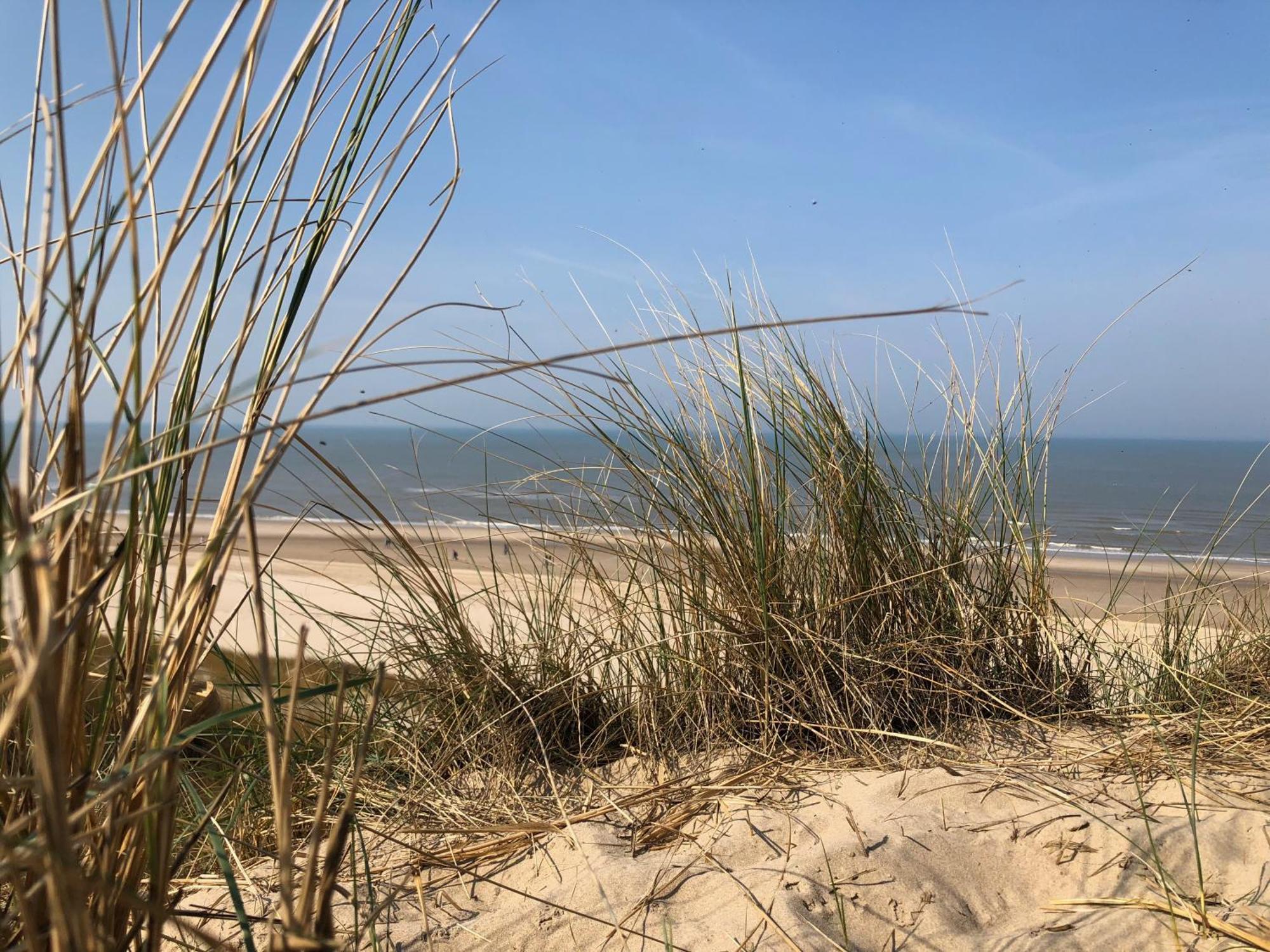 Eco Lodge Duin- Unieke Locatie -Strand, Duin En Nabij Cultuursteden Castricum Exteriör bild